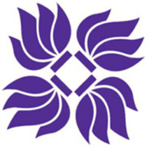 上海纽约大学综合评价招生简章